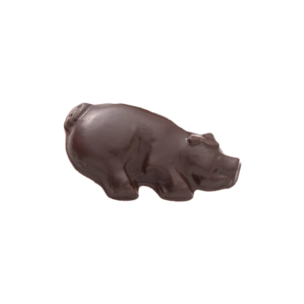 A Litter of Chocolate Pigs
