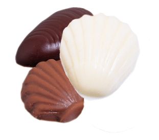Chocolate Assorted Seashells