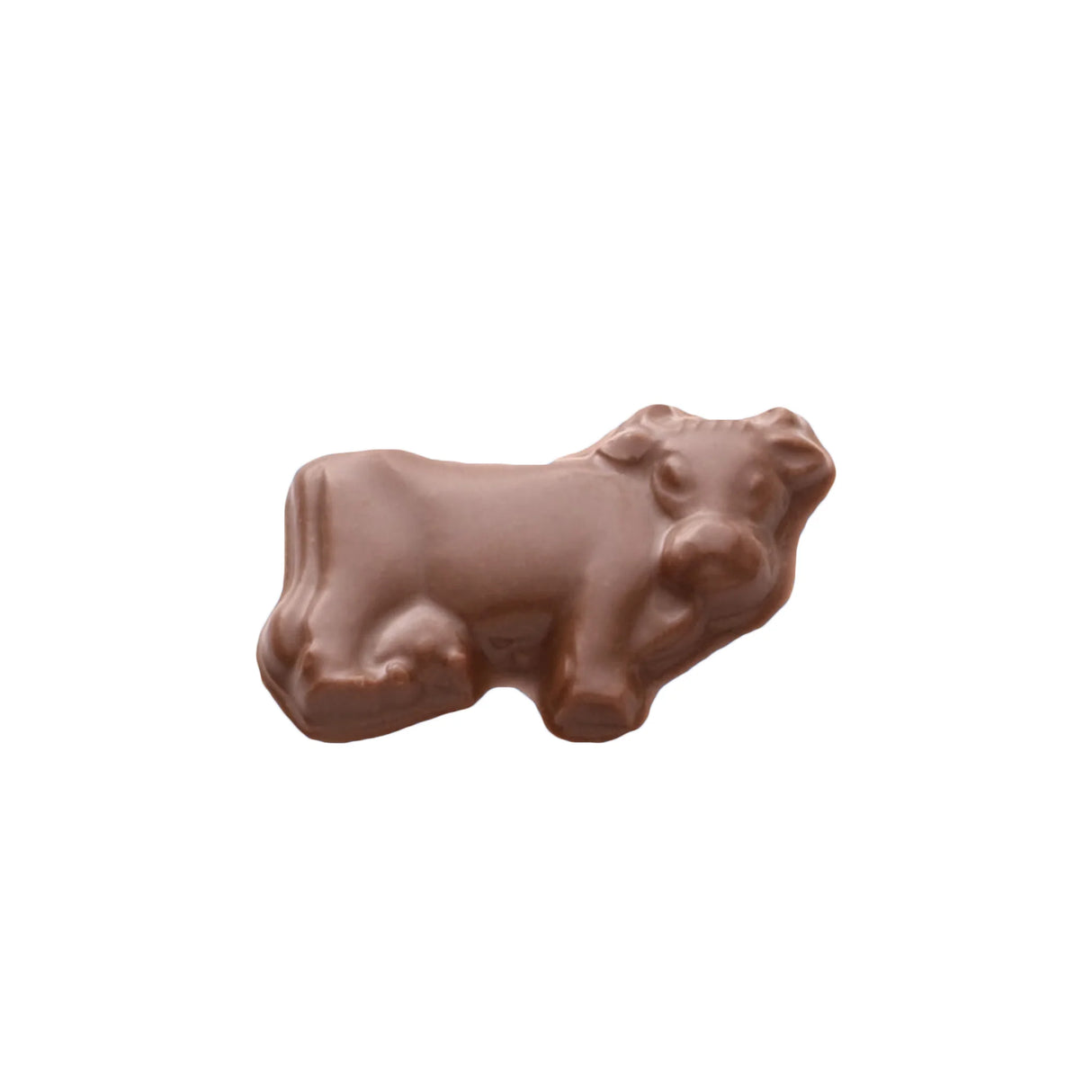 A Herd of Chocolate Cows