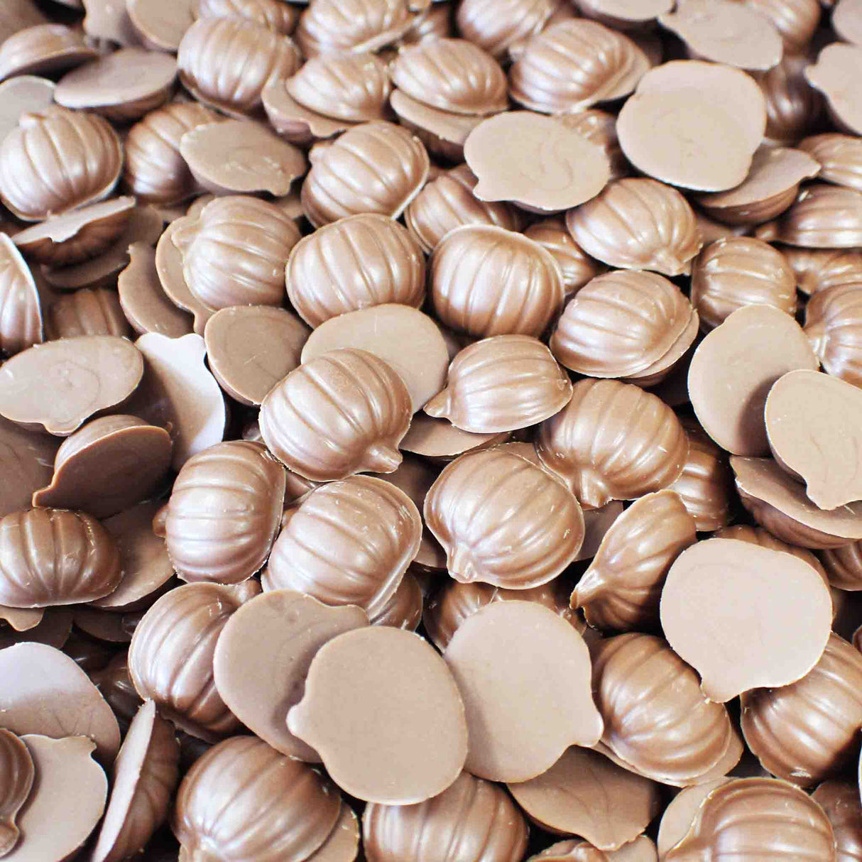 Mini Chocolate Pumpkins