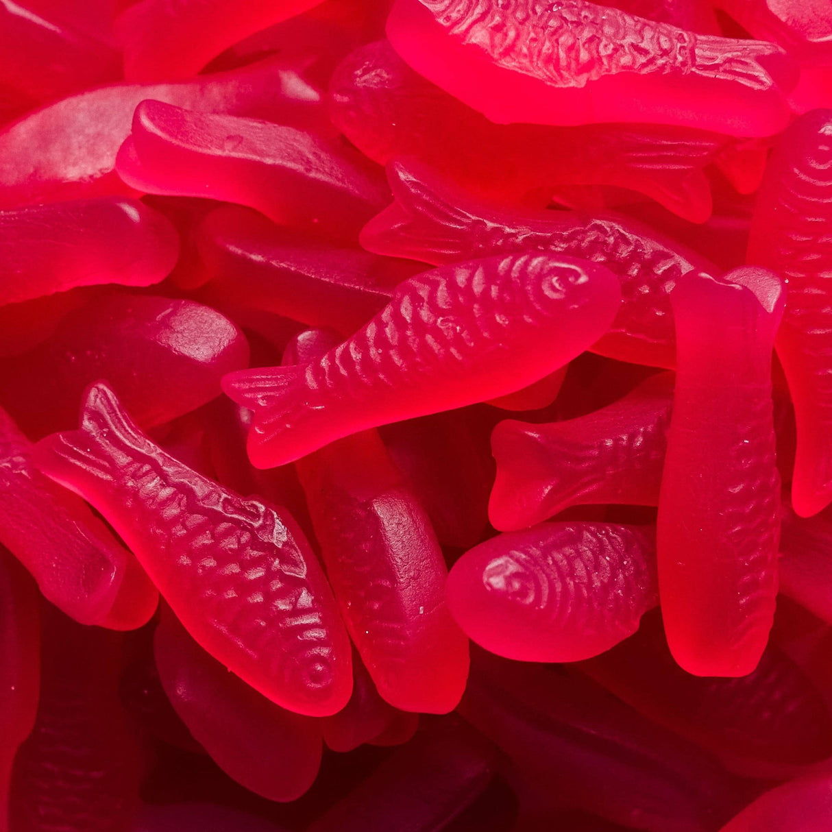 Red Sardines