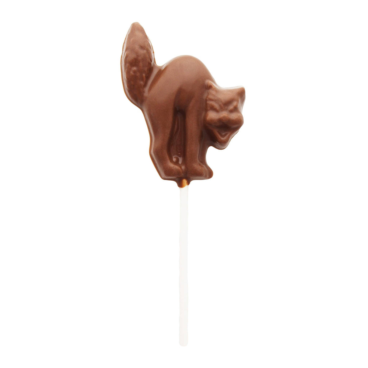Chocolate Spooked Cat Pop
