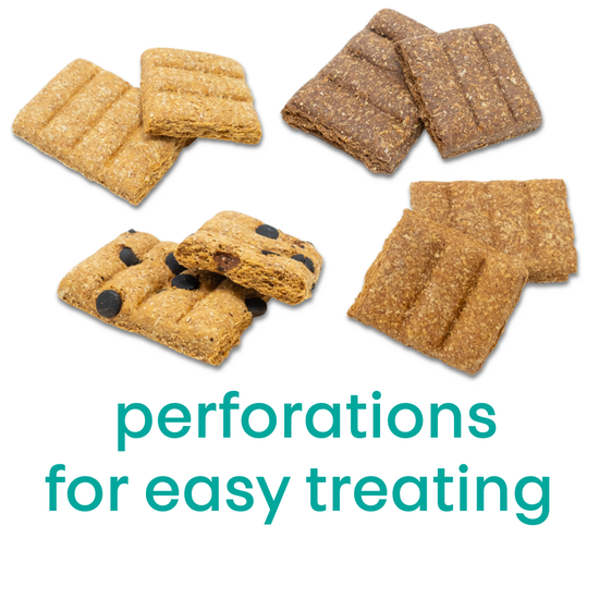 Dog Cookie Bark Bars - Pet Snax