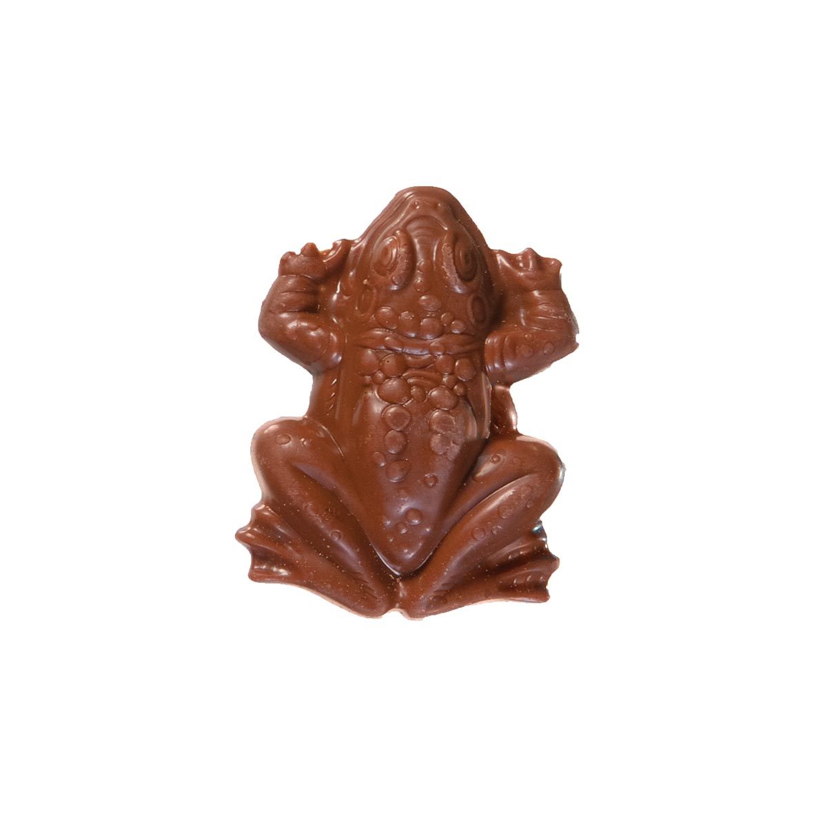 Harry Potter™ Chocolate Frog - ZaZoLi