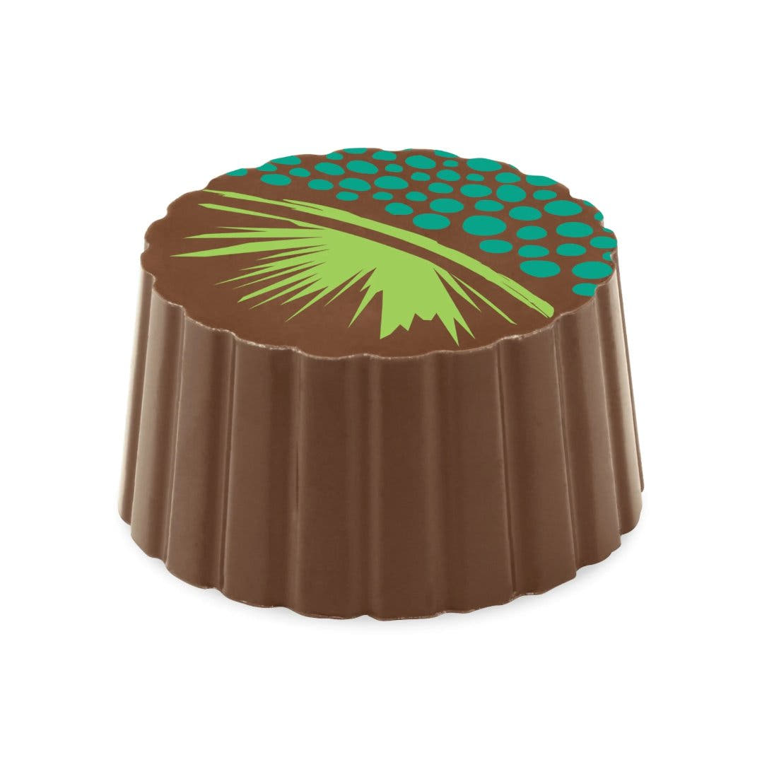 Artisan Chocolate Truffles (6 Piece Gift Box)