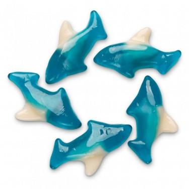 Blue Gummi Sharks - ZaZoLi