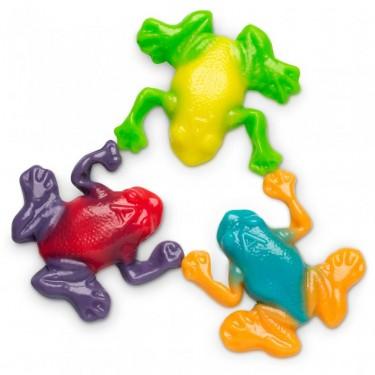 Gummi Rainforest Frogs - ZaZoLi