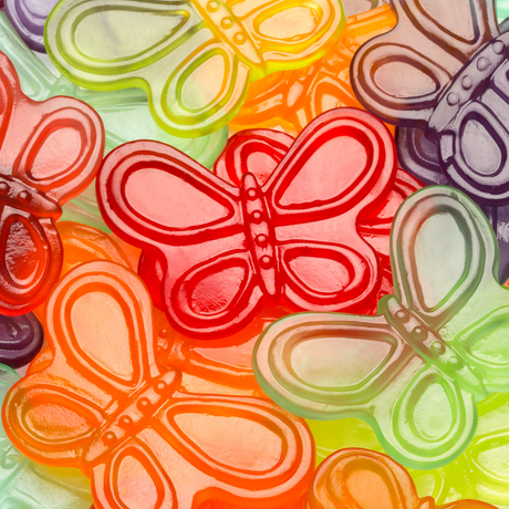 Bodacious Butterflies