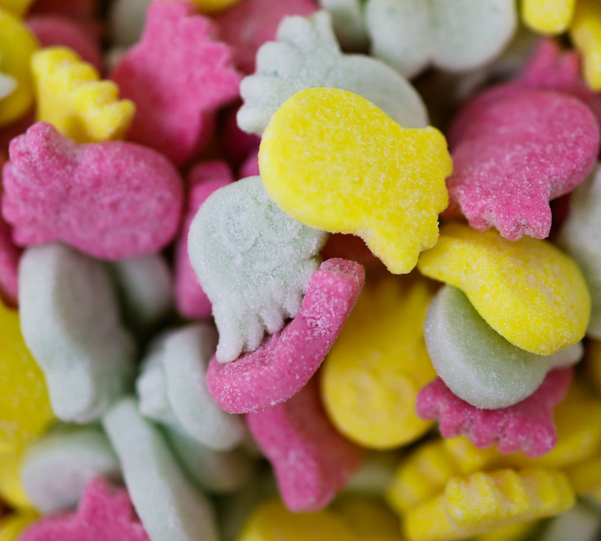BUBS Sour Squids