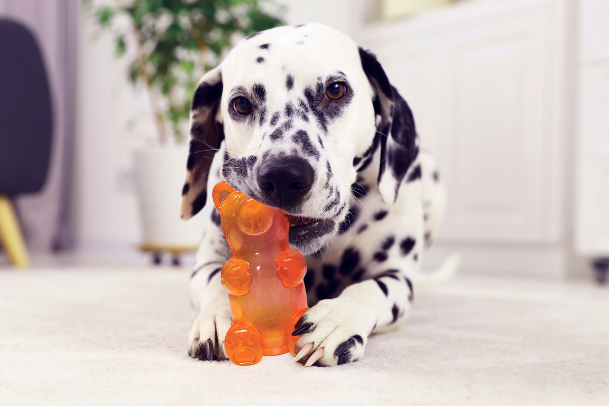 Spunky's Gummy Bear Dog Treat Dispenser