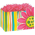 Citrus Garden Gift Box (Large) - ZaZoLi 