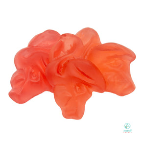 Fabulous Pink Flamingo Gummies - ZaZoLi 