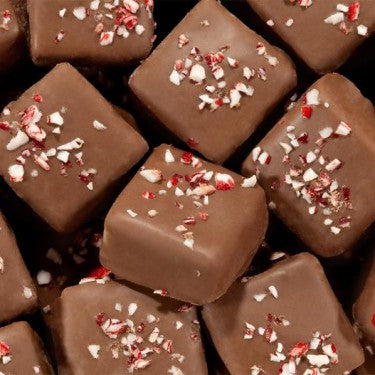 Milk Chocolate Mint Holiday Square